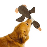 Pet Duck Toy