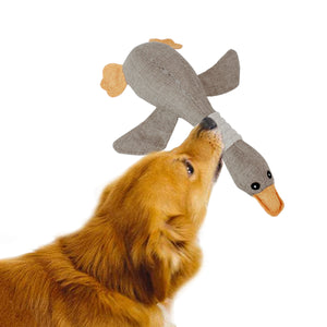 Pet Duck Toy