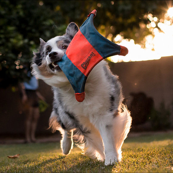 Pet Flying Saucer Toy