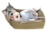 Pet Modeling Beds