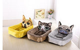 Pet Modeling Beds