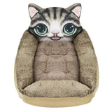 Pet Modeling Beds