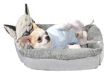 Pet Modeling Beds