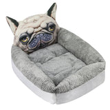 Pet Modeling Beds