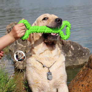 Pet Molars Toy