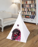 Pet Teepee