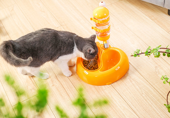 Pet Water Dispenser