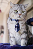 Pet Necklaces