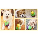 Pet Leaking Ball Toy