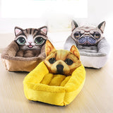 Pet Modeling Beds