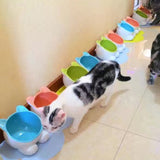 Pet Bowl