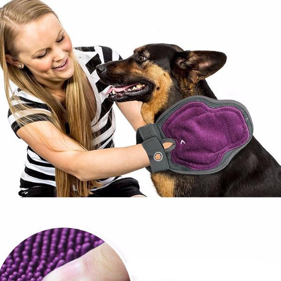 Pet Brush