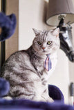 Pet Necklaces
