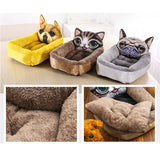 Pet Modeling Beds