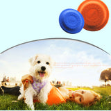 Pet Toy