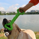 Pet Molars Toy