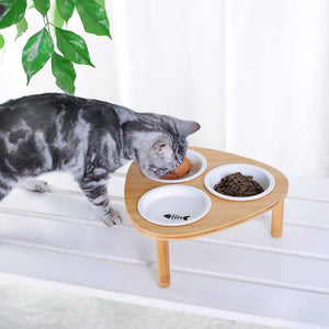 Cat  Bowl