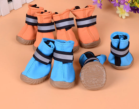 Pet Shoes