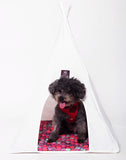 Pet Teepee