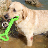 Pet Molars Toy