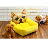 Pet Modeling Beds