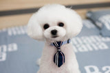 Pet Necklaces