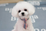 Pet Necklaces