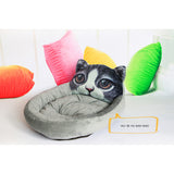 Pet Modeling Beds